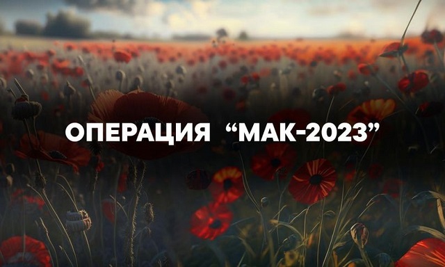 image 30 08 23 04 09